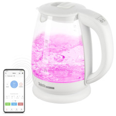 Электрический чайник Redmond SkyKettle RK-G211S