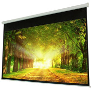 Моторизованный экран PROscreen MLE9120