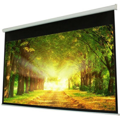 Моторизованный экран PROscreen MLE9120