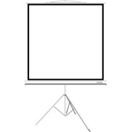 Экран Deluxe DLS-T203xW 113" 1:1