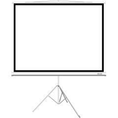 Экран Deluxe DLS-T153x116W 100" 4:3