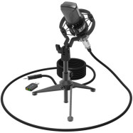 Студийный микрофон Ritmix RDM-160 черный